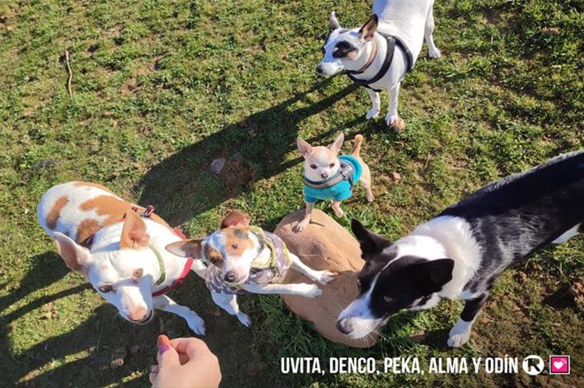La felicitación más bonita del mundo.