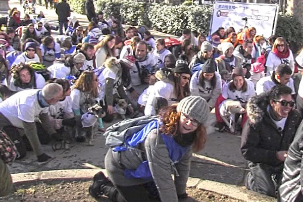 700 madrileños acaban #akuatropatas en la sanperrestre contra el sacrificio de animales abandonados