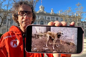 Maltratan a 75 perros. Somos acusación.