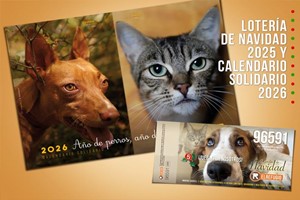 Lotería Navidad y Calendario 2026