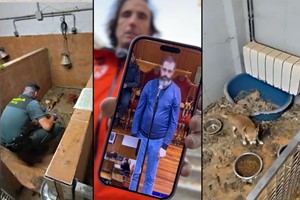 Otro caso de maltrato? Ahí estamos.