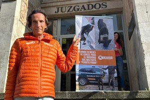 ¿Abandonar es maltratar?