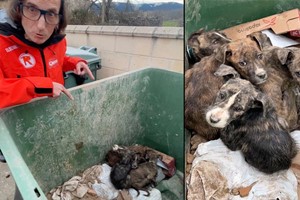 Que la vida te la devuelva.