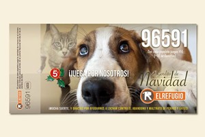 Lotería Solidaria Navidad 2025