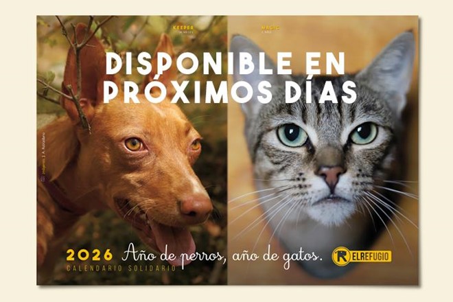 Calendario Solidario 2026 