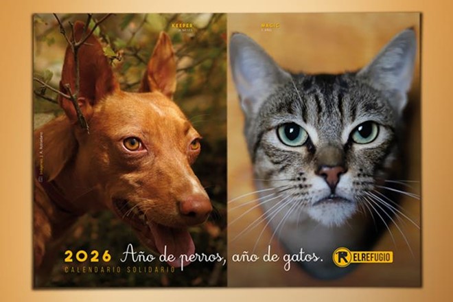 Calendario Solidario 2026 